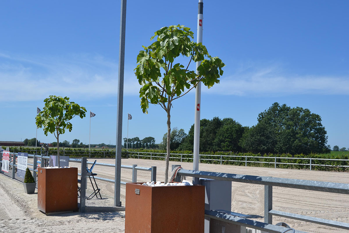 Mooie buiten arena